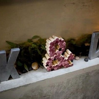 һ�������Ѿ�Ϊ����Ĵ������