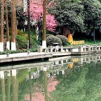 ��լ������͸�������ſڷŷ硣