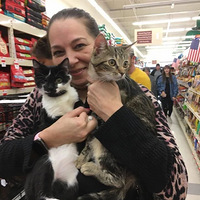 ����Сè���ǰ��Լ���������ֱ����������С��飬��ʰ������