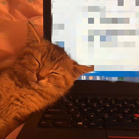 è���Ҽ����ϲ���һ���ֺ��ҿ���Ҫʧҵ�ˡ�