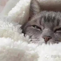 �ֽ����ˣ�������������ǵ�Ҫ�Ǻñ��ӣ�