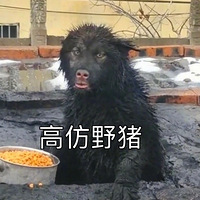 ˹ͻȻʧ٣һԭȥ