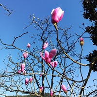 ������������ظ��ա�