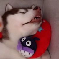 һ仰Լӡ̫ʵˣ