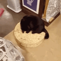 ���ȵ꾪�֡���è�����ˡ�������ʵ��̽�ú��־�Ȼ�ǡ�