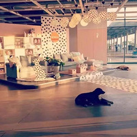 �������˼��ĵ�һ����Ƭ��ȴ�ж��������ˡ�