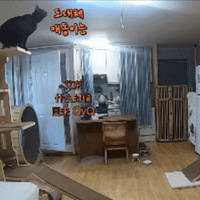 �������м���������������ҽԺ�ȴ���������ʱ��ȴ����������