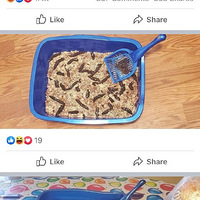 ĳ�������Ĳ�ʺ���յ��⣬���������Ҫ���ˡ�����