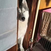 Ϊ�˷�ֹ����ɧ�ţ������굽��������칫�����ʺ���Ǹ����ˣ�