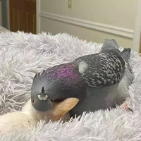 ����ɵĸ��ӺͲ����ܵ�С����һ����ͳ��˺�����