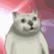 ��ֵ����������ˣ���ֻͻȻռ��ȫ���������ɳ��è����Ȼ�ǡ�