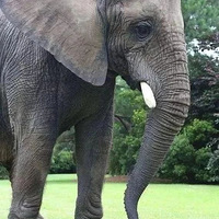 ���罻�����ĳƺţ��ɲ���˵˵���ѣ�