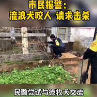 �������������ˡ���Ҫ���ɱ������ȴ�ǡ���