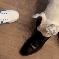 �ദ���˲ŷ��֣��Ҽҹ���Ȼ�Ǹ����Ե��ܲá���