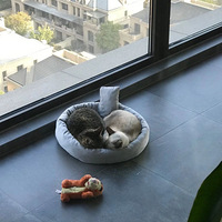 è��Ҫ��ͷ���ɳ������������