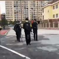 �������ڼ��ֹ�޹��������һ�𣬴���һֻ����