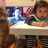 ��ʺ�����±���������ÿСʱѲ������������̫ů�ˣ�