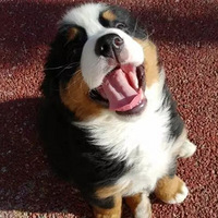 ���������һֻ�д���Ȯ���ǵÿ�ǧ���գ�ۣ�