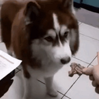 ��ʿ��ֻ�Բ˲����⣬���ѣ��Ǵ��ֶ���û���ˣ�