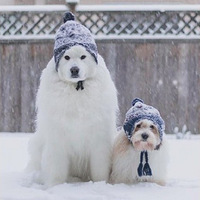 ����ǧ�������ĦҮ���⼸������ˡ��ܲ��ˡ���