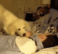 Ц���ˣ����ӵ�365�ֽ��ѷ�ʽ����ҵ������֣�