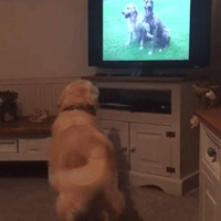 �������е���������Ҳ����ô���˲��ѡ�