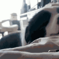 ��������ô���꣬�Ҽҹ���û���̡�����