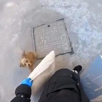 ������û�뵽���ұ�һֻ���˹�Լ��ȥ�����ֳ���