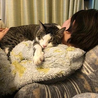 �������ⷢ��ͷ������й��󣬿���ԭ��������èϲ������ͷ����