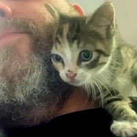 ����֮��Ӳ���������������ȣ�Ҫ�ϰ幩����ס��