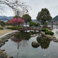 Ψ���������ɹ���