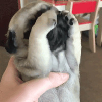 Ϊʲô��ʿ�氮��һ������������Ǳ�����Сʱ���ɱ���˫�۰ɣ�