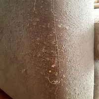 ����һ���µ�ɳ����ץ��������������ֱ�Ӹ���ɳ����