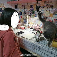 ����ͬ���ǿ���Ƶ���飬������������è��ᡭ��