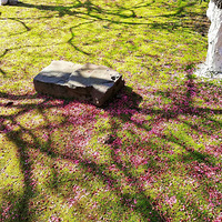 ���������������ֻ������ʡ�