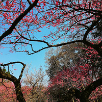 �������޺ã����������ԡ�