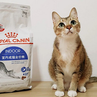 �����ڼ䣬��ʺ������լ�ڼң�è�䶼��ʼ�������ˣ�