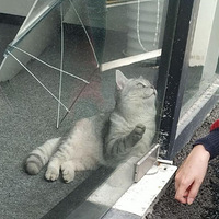 �����裡�����ڼ������ƭ��ƭ�ȵ���è����