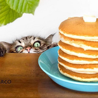 ̰���ְ��Ƶ������ˣ���Ҹ���һ��