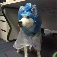 Һүûʲô꣡