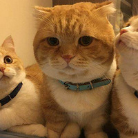 è�����������ǵģ���ʲôҲû�У�ֻ��˫�°͡�