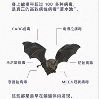 ��10���������йص���ҵ�⣬��ĺ��ӻ��������
