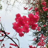 �人��ѧ����ӣ������