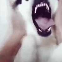 ɹʿСʱͳĶԱգһֱֱ