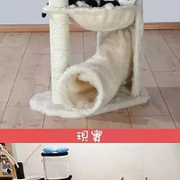 ��ʺ����ӭ��������ǰ����ܵ�����������ʵ�Ĳ�ࡣ����