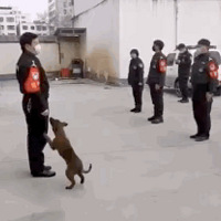 ͷû㼼ܣ˹첻ȥ