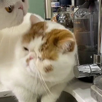 è���賿3�����ʪ͸���ϴ�˦ˮ��ֻ���������ֹ�񱣡