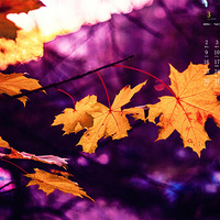 2020��3��������ֽ