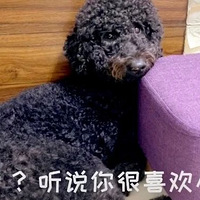 ˫йչ˱ˣ