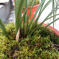 ���������磬���ֺ���ܰ